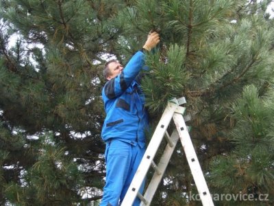 MONTÁŽ VÁNOČNÍHO OSVĚTLENÍ