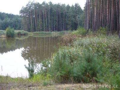 OBEC KOMÁROVICE